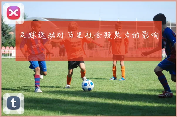 足球运动对马里社会凝聚力的影响
