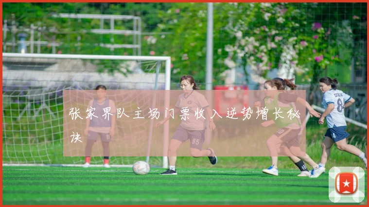 张家界队主场门票收入逆势增长秘诀